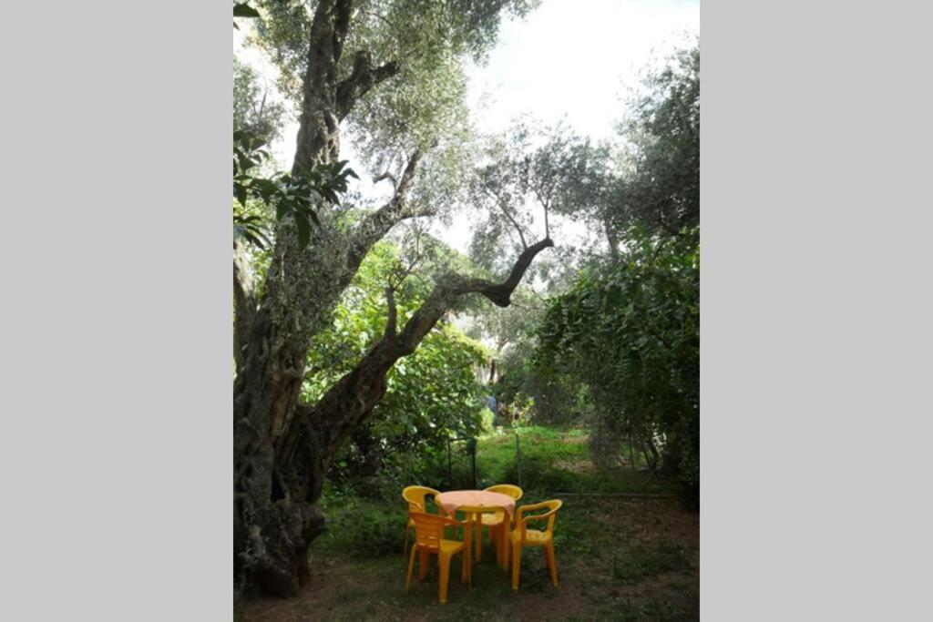 Bmv Room For 2-3 With Greenery View 斯韦蒂·斯特凡 外观 照片